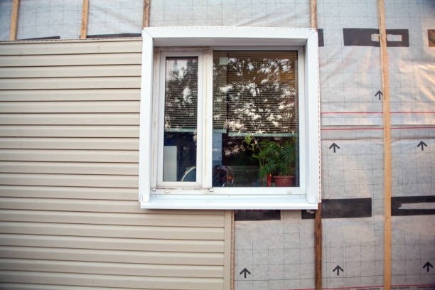 Best Custom Trim and Detailing for Siding  in Costa Mesa, CA