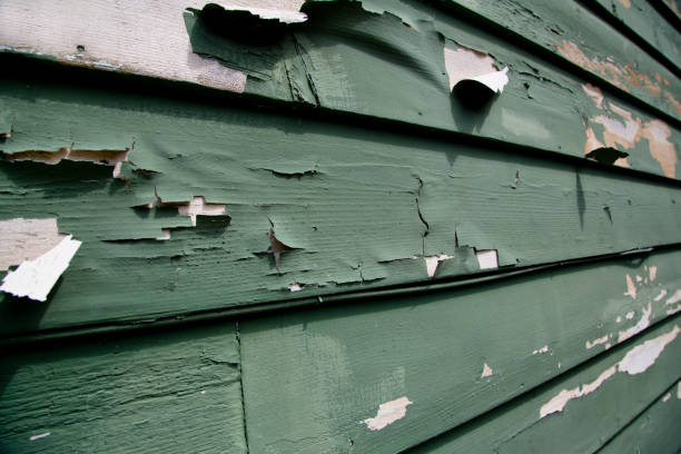 Affordable Siding Repair and Maintenance Services in Costa Mesa, CA